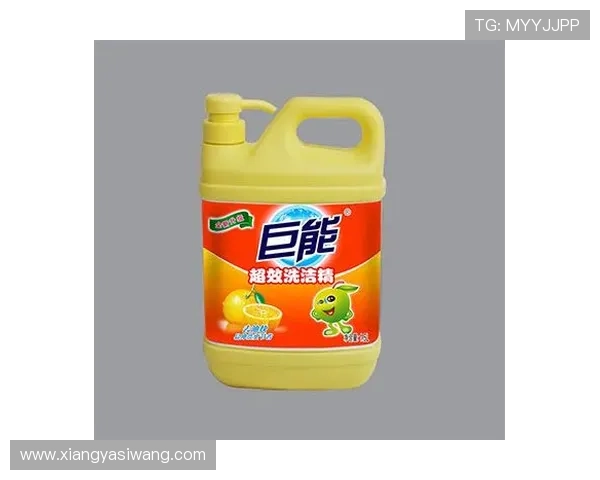 K8凯发中文站注册流程详解，新手快速入门必备指南
