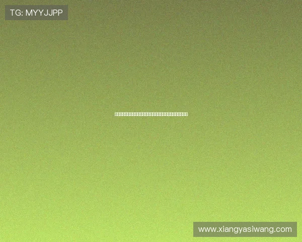 亚星登录网管安全登录指南保障用户账号信息安全与系统稳定运行